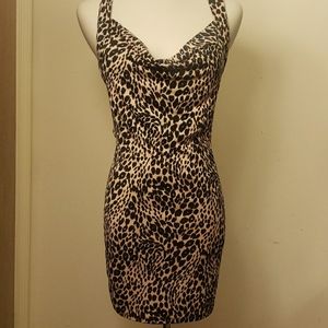 Charlotte Russe Pink Lepoard print dress